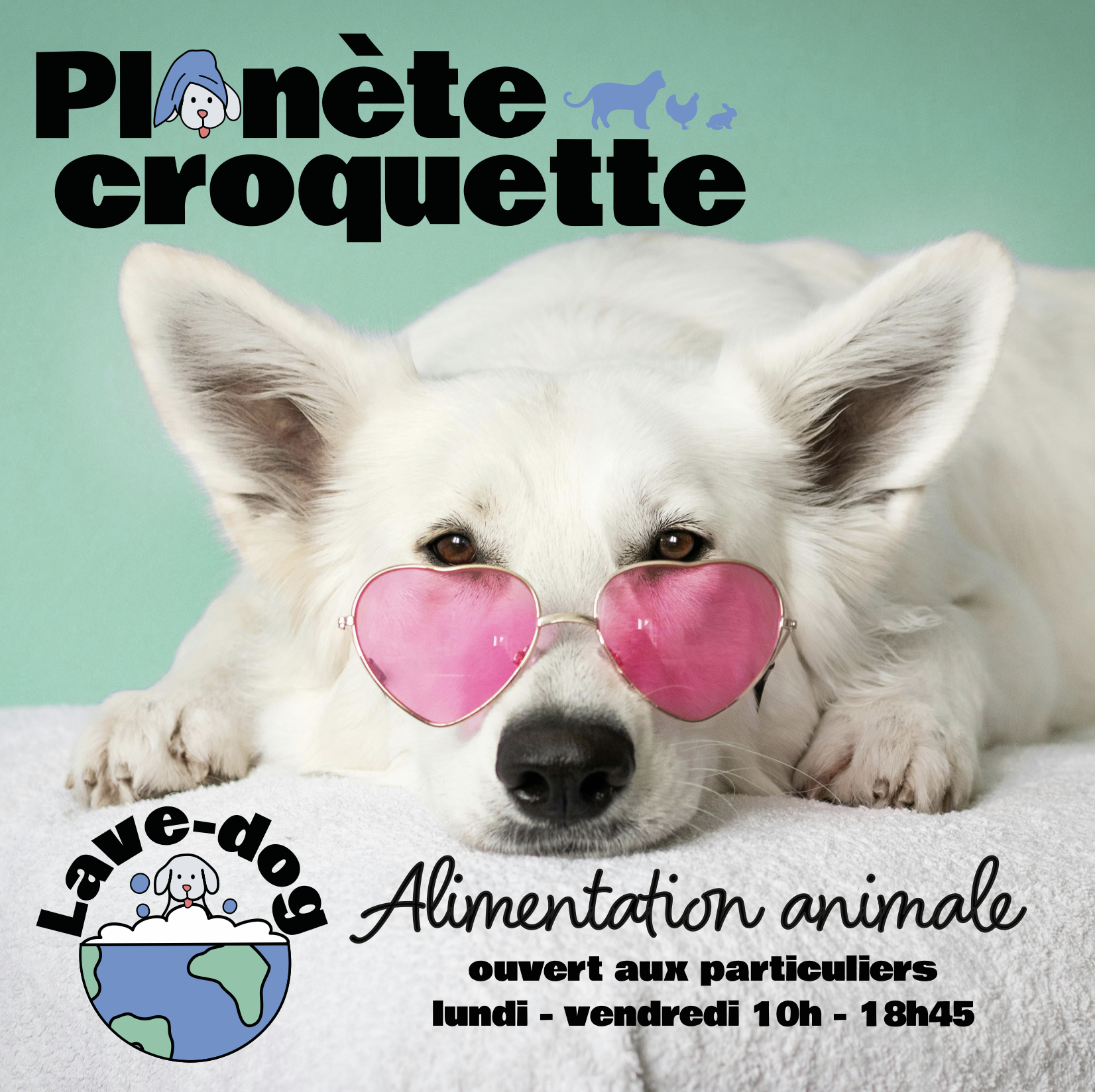 branding Planète Croquette